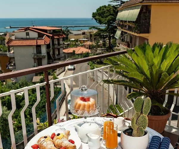 Bed and Breakfast Damahouse